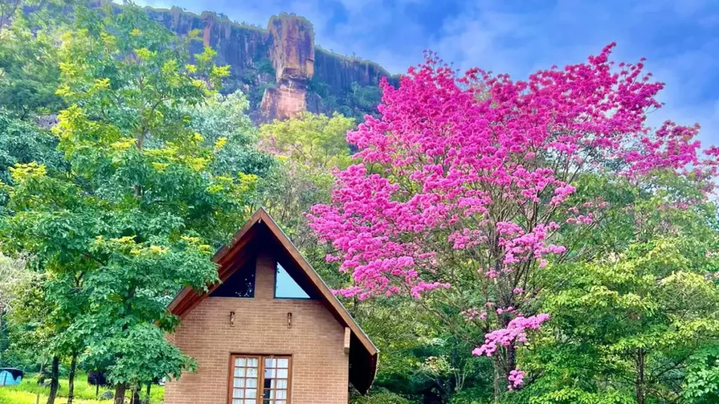 Chalé com cachoeira em paredão vira refúgio para casais