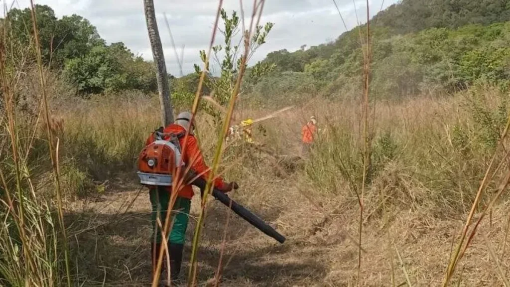Brigada Alto Pantanal realiza 15 ações e evita incêndios na Serra do Amolar