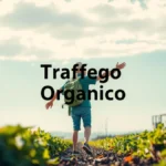 Tráfego Orgânico: O que É e Como Atrair Clientes de Graça Online