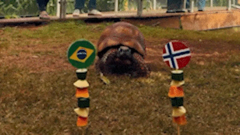 Jabuti ‘acerta’ vitória da Noruega e eliminação do Brasil na Copa