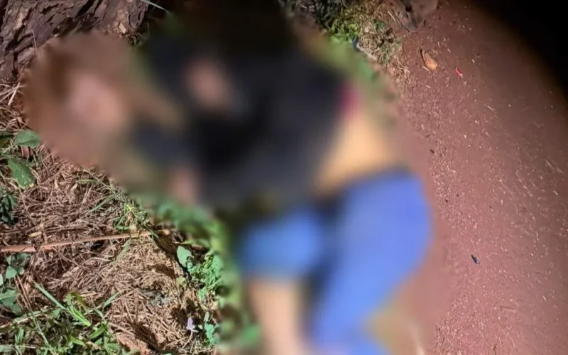 Ciclista morre atropelado na MS-376, em Dourados