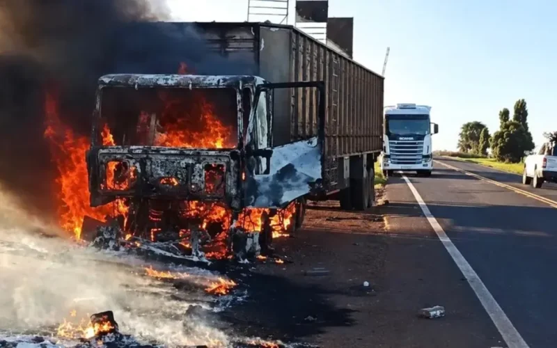 Incêndio em carreta solta bois na MS-395