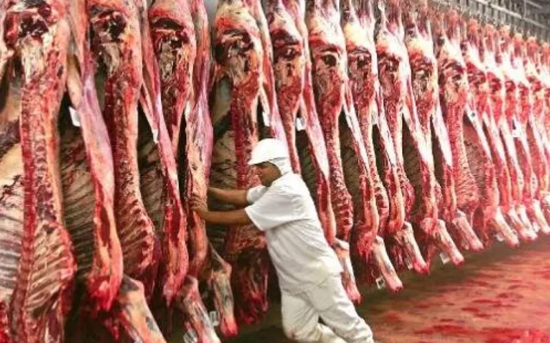 Frigoríficos reduzem até 40% dos abates em MS