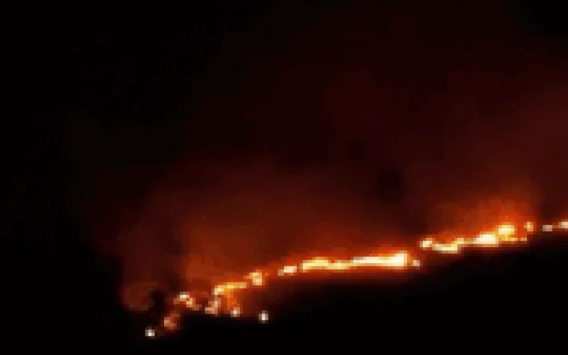 Incêndio na BR-060 atinge área do Exército e mobiliza 50 militares