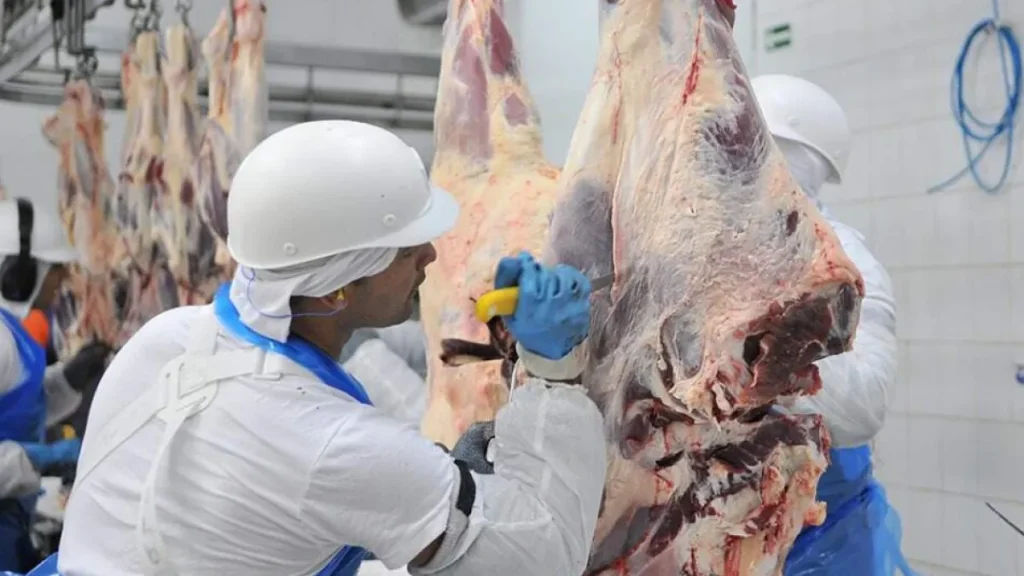 Frigoríficos de MS: exportações crescem 1.157% e empregos dobram
