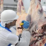 Frigoríficos de MS: exportações crescem 1.157% e empregos dobram