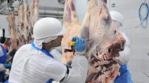 Frigoríficos de MS: exportações crescem 1.157% e empregos dobram