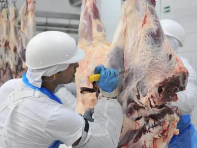 Frigoríficos de MS: exportações crescem 1.157% e empregos dobram