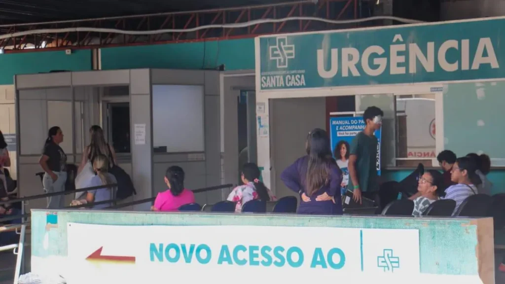 Leilão de 1.500 animais ajuda a concluir reforma da Santa Casa