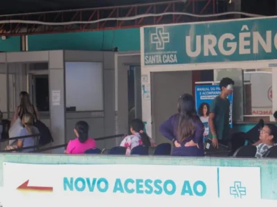 Leilão de 1.500 animais ajuda a concluir reforma da Santa Casa