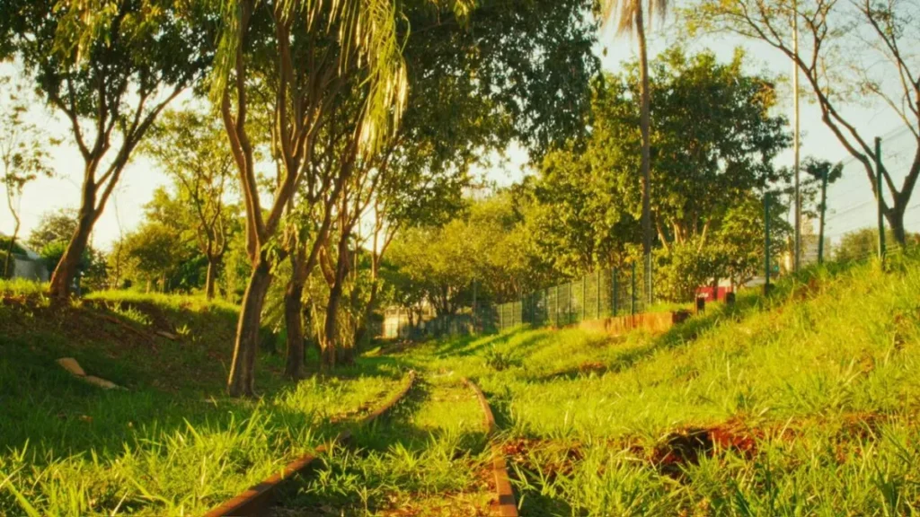 Lente de cinema transforma cotidiano em arte nostálgica