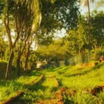 Lente de cinema transforma cotidiano em arte nostálgica