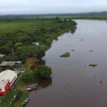 El Niño: MS se prepara para calor intenso e risco no Pantanal